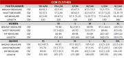 ccm-perofrmance-26.png