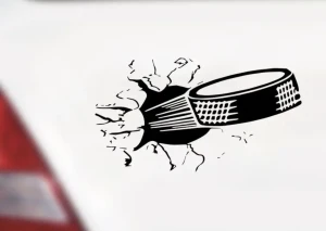 Sticker puck