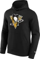 Fanatics NHL Logo Graphic Hoodie - Pittsburgh Penguins 2