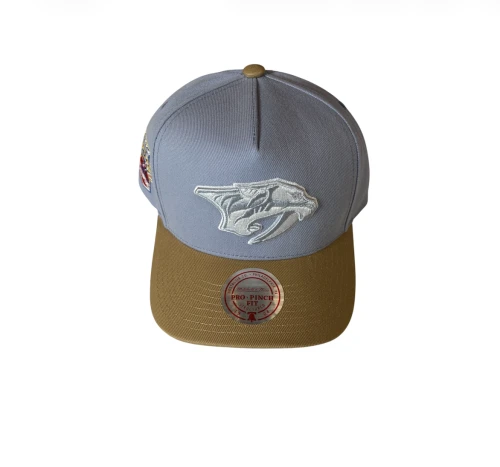 NHL Mitchell & Ness Frosted Peak Pro Pinch Cap - Nashville Predators