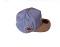 NHL Mitchell & Ness Frosted Peak Pro Pinch Cap - Nashville Predators 2