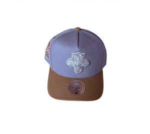 Czapka z daszkiem NHL Mitchell & Ness Frosted Peak Pro Pinch - Florida Panthers