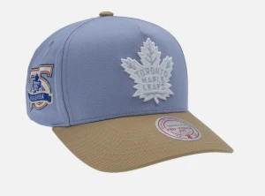 NHL Mitchell & Ness Frosted Peak Pro Pinch Cap - Toronto Maple Leafs