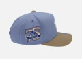 NHL Mitchell & Ness Frosted Peak Pro Pinch Cap - Toronto Maple Leafs 2